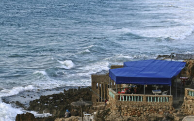 Dossier&nbsp;: À&nbsp;Marseille, la Méditerranée est une évidence