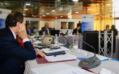 Oser l’entreprise en Méditerranée&nbsp;: 7&nbsp;propositions pour la jeunesse