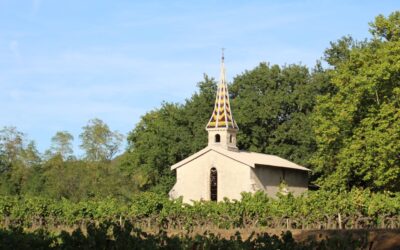 Côtes-du-Rhône&nbsp;: de la vente à&nbsp;la cave à&nbsp;l’œnotourisme responsable