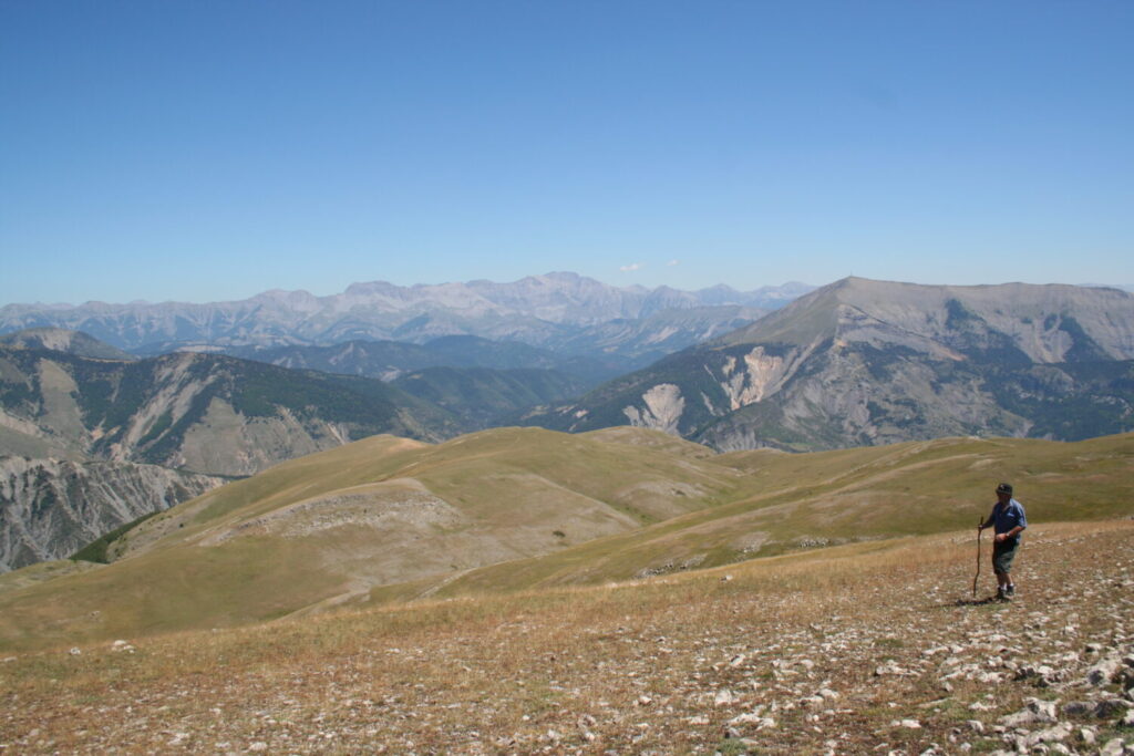 IMG 0218